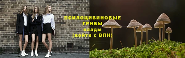 mdpv Майский