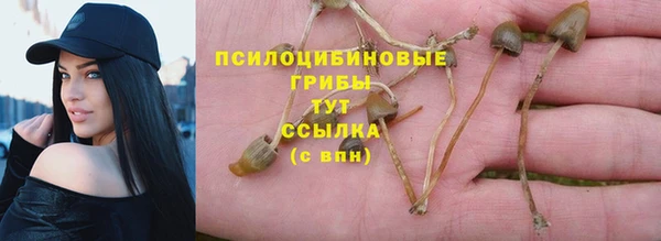 mdpv Майский