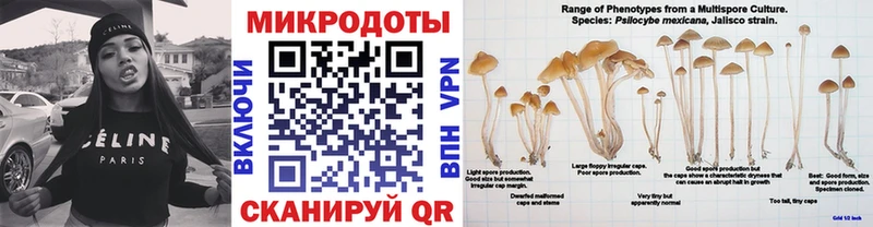 Галлюциногенные грибы Cubensis  Суворов 